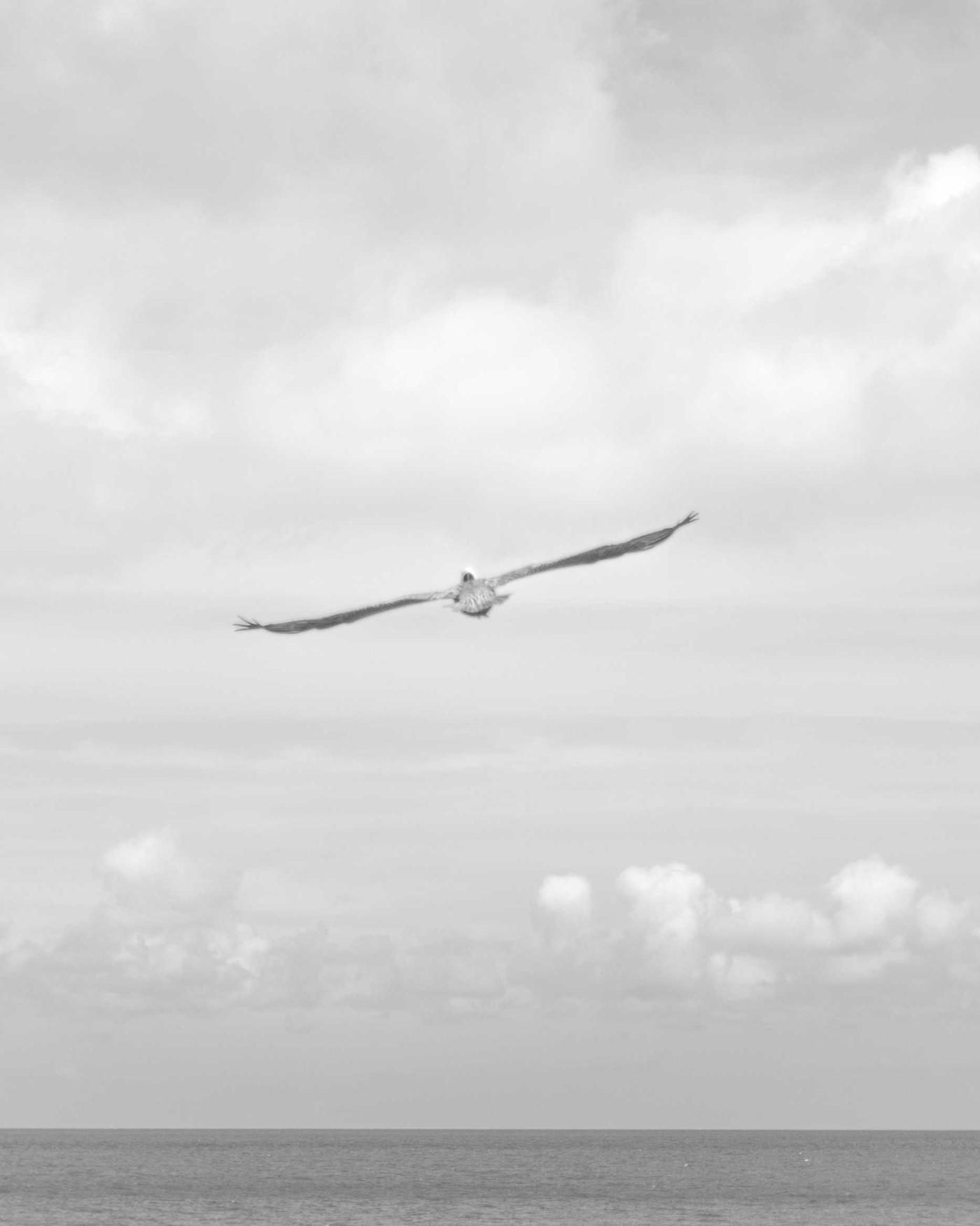 A pale sky above a distant treeline