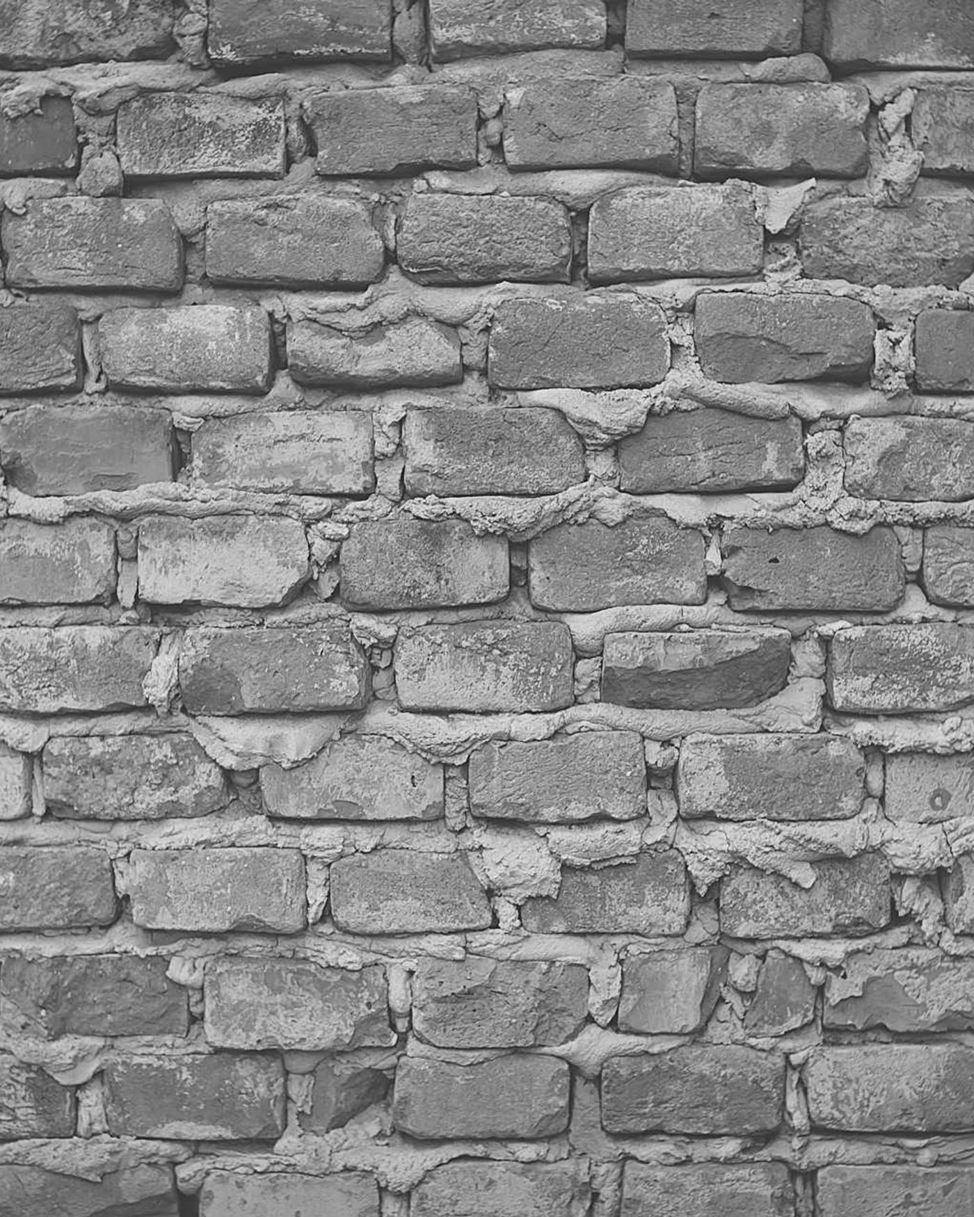 A plain brick wall in flat light